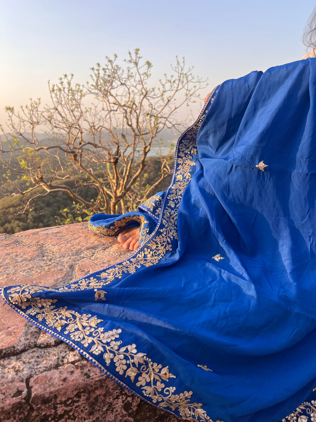 Neelam saree