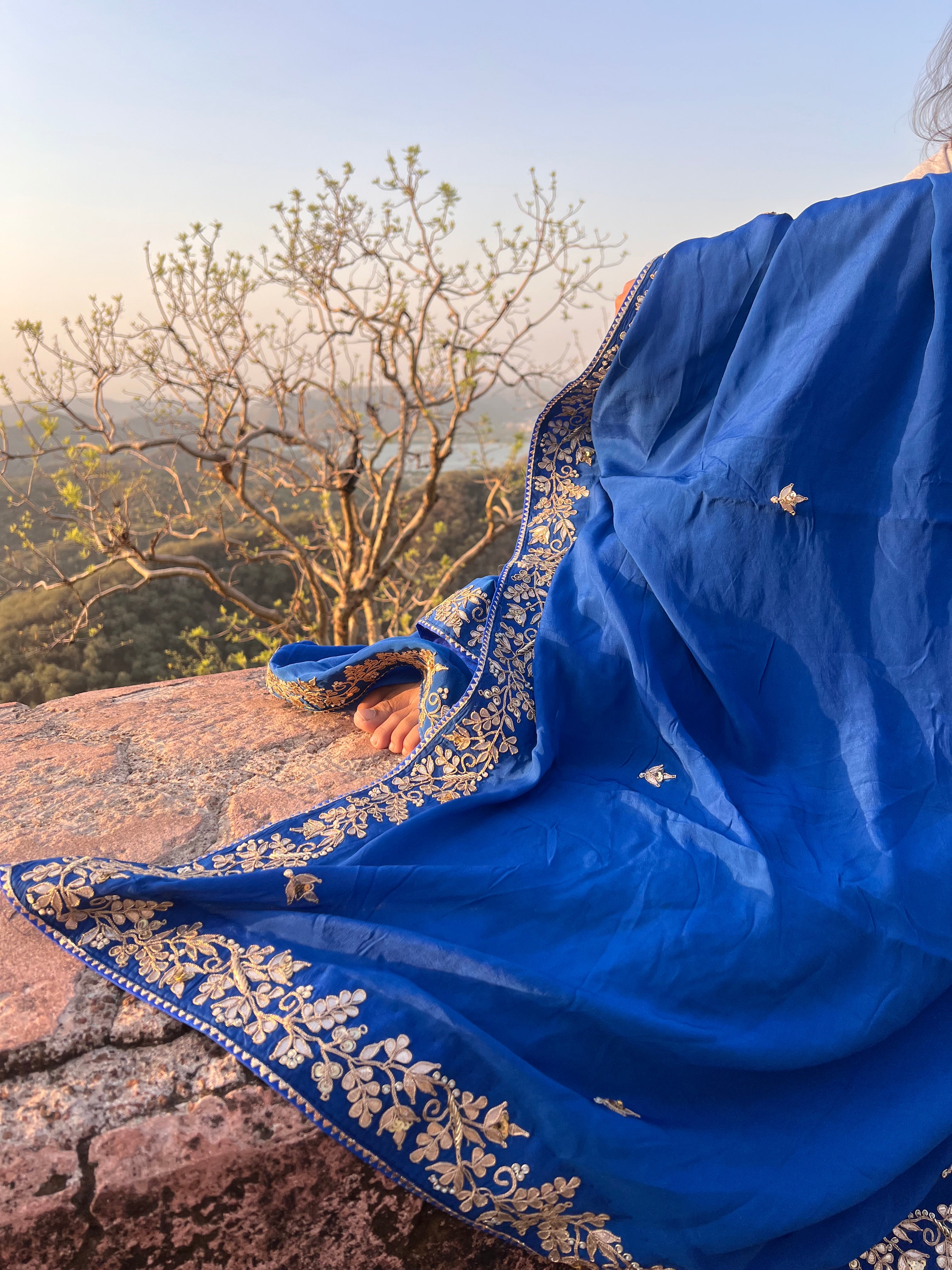 Neelam saree