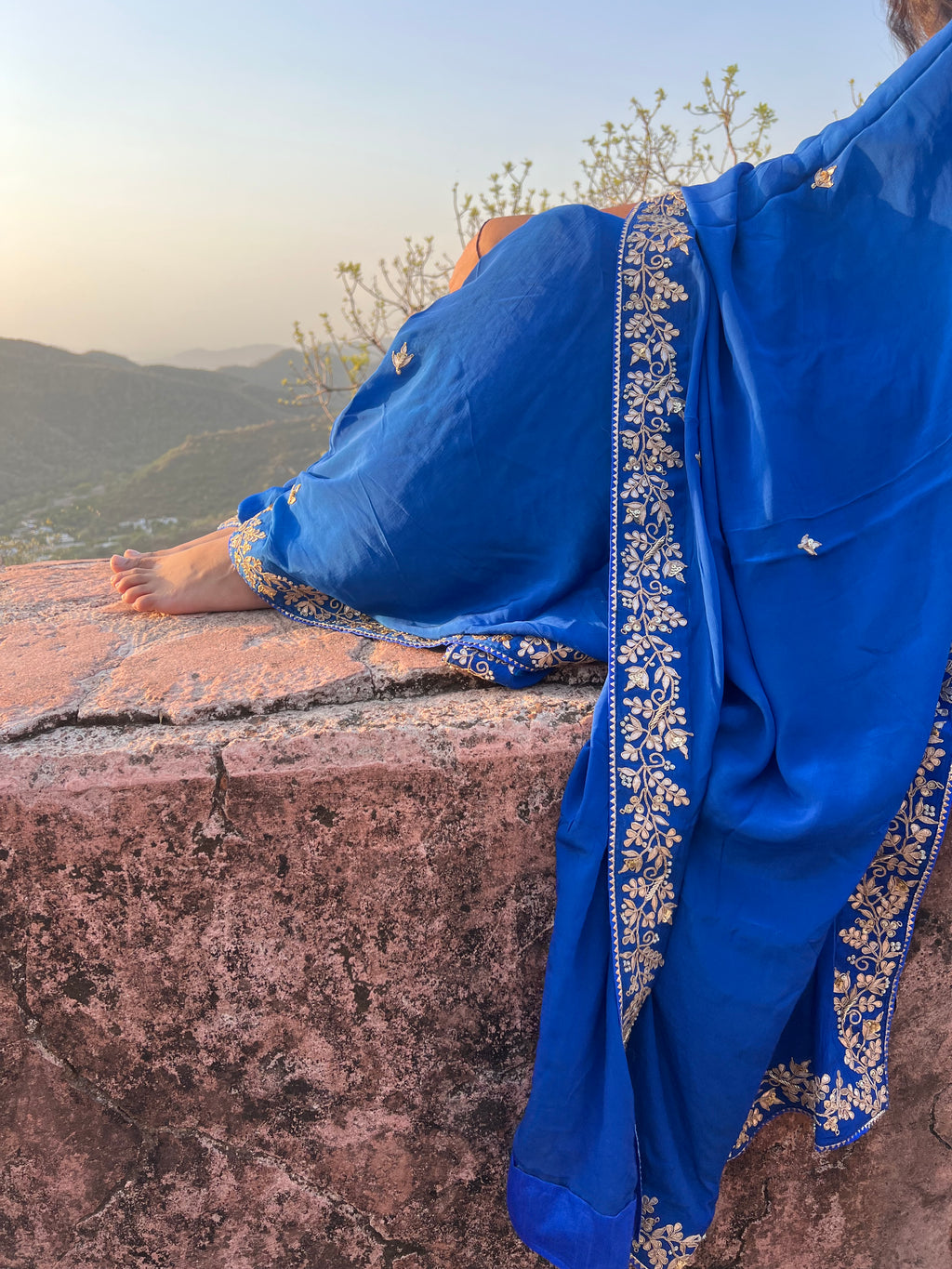 Neelam saree